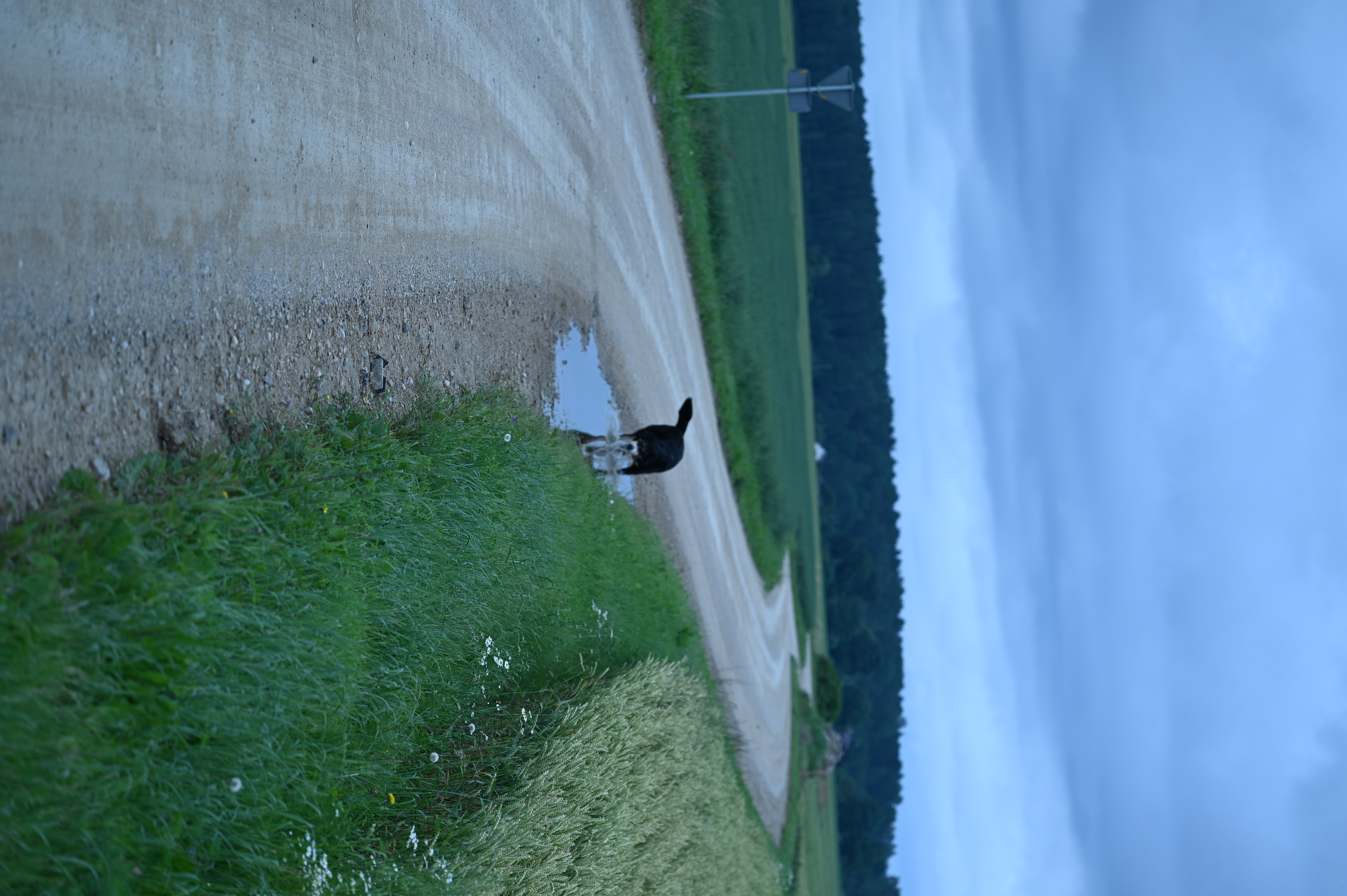 2025/07/09-14 - trip/DSC_0009.JPG